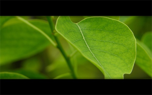 中国十大合成生物学公司，中国国内比较知名的CRO公司有哪些