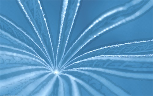 枕头自动调节高度打呼