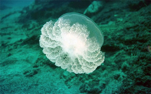 汽车座椅生产线流水线，汽车座椅装配流水线
