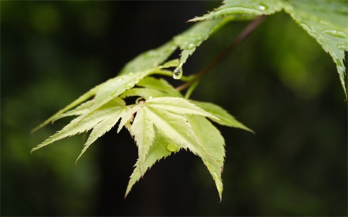 自动化企业介绍，南京天溯自动化控制系统有限公司的介绍