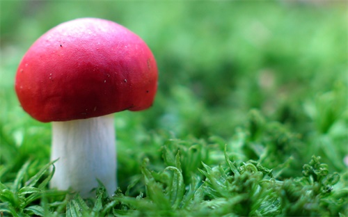 富纳智能科技怎么样，上海富友旗下富掌柜的智能POS机怎么样啊有谁用过吗